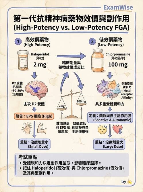 護理師 - 精神科藥物與生物治療 - AI 圖文解析預覽