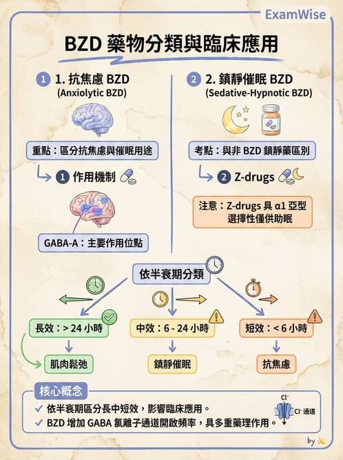 護理師 - 精神科藥物與生物治療 - AI 圖文解析預覽