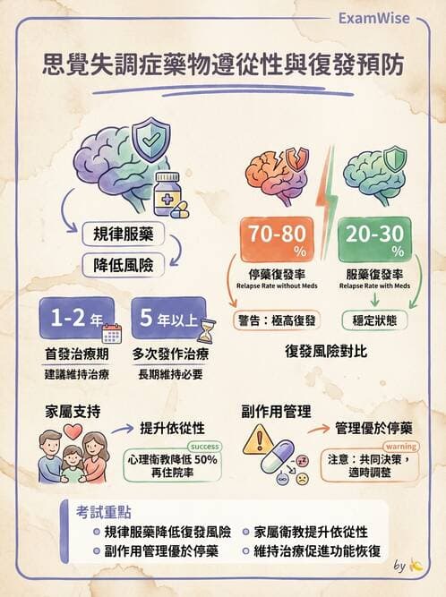 護理師 - 思覺失調症護理 - AI 圖文解析預覽