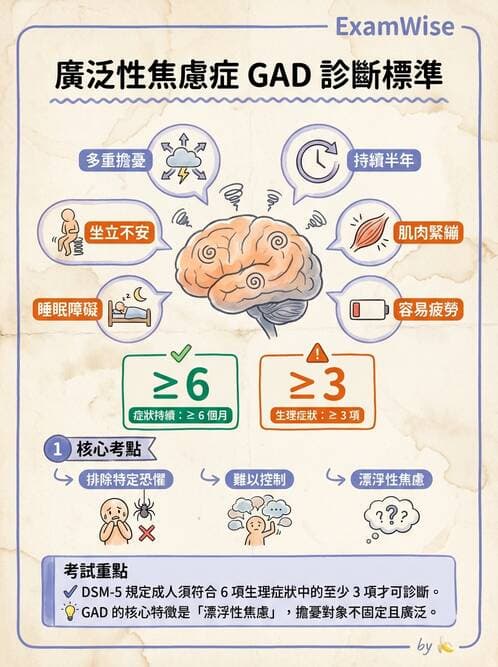 護理師 - 焦慮症與壓力相關障礙 - AI 圖文解析預覽