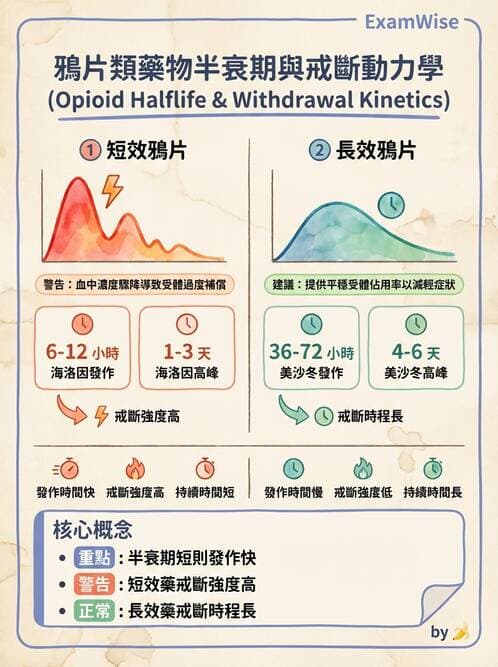 護理師 - 物質相關與成癮障礙 - AI 圖文解析預覽