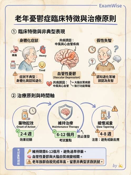 護理師 - 老年精神疾患 - AI 圖文解析預覽