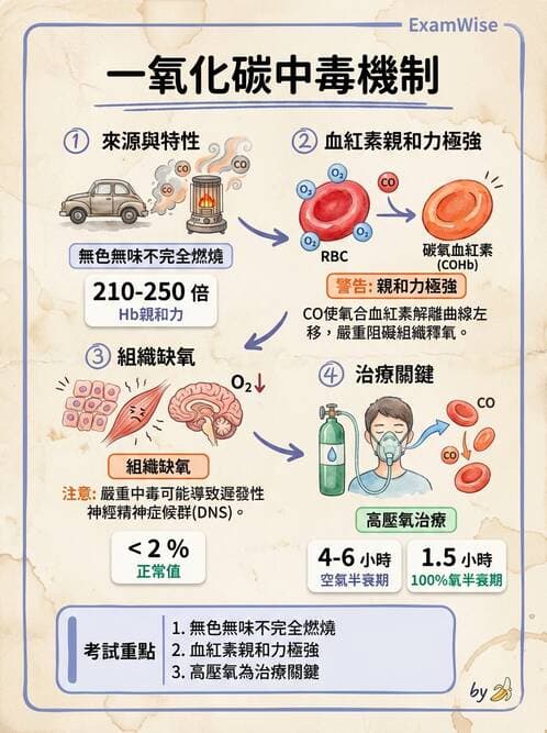 護理師 - 環境衛生與護理 - AI 圖文解析預覽
