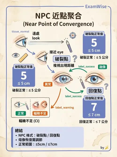 驗光生 - 眼球運動、內聚功能與瞳孔反應檢查 - AI 圖文解析預覽