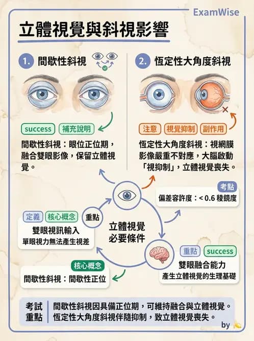 驗光生 - 雙眼感知與融像檢查 - AI 圖文解析預覽