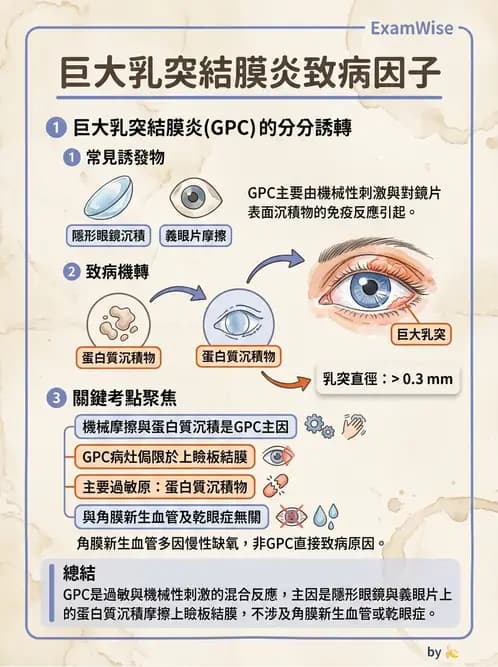 驗光生 - 乾眼、沉積物與結膜過敏反應 - AI 圖文解析預覽