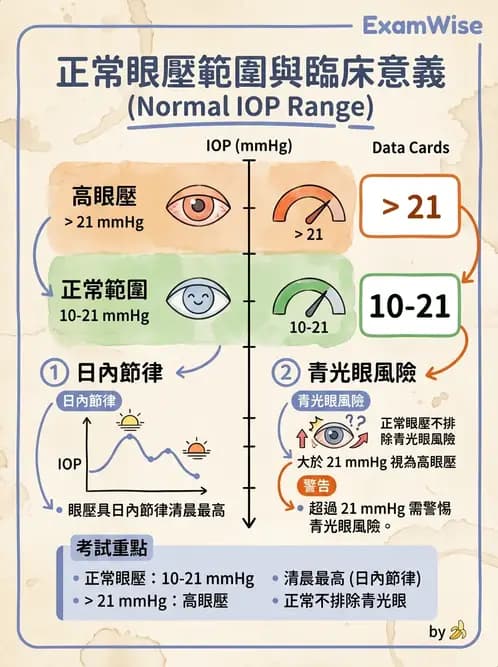驗光生 - 屈光介質與眼壓調節 - AI 圖文解析預覽
