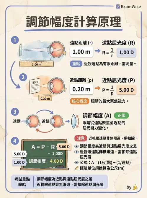 驗光生 - 調節幅度計算與近遠點關係 - AI 圖文解析預覽
