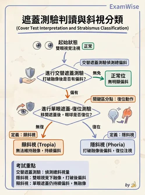 驗光生 - 眼位偏斜檢查 - AI 圖文解析預覽
