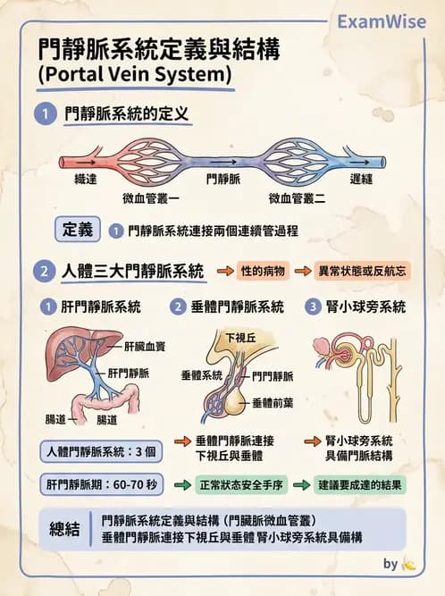 放射 - 血管 - AI 圖文解析預覽