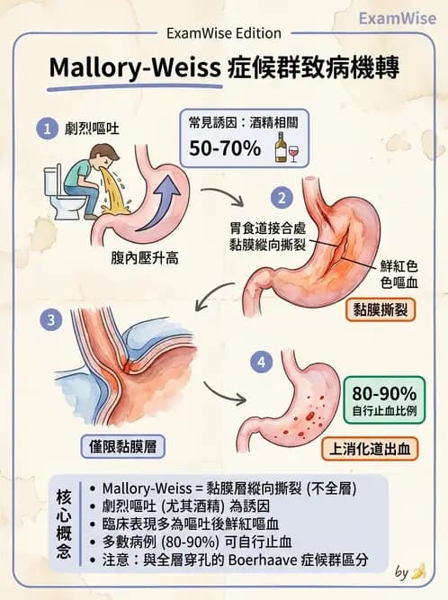放射 - 口腔及腸胃道疾病 - AI 圖文解析預覽