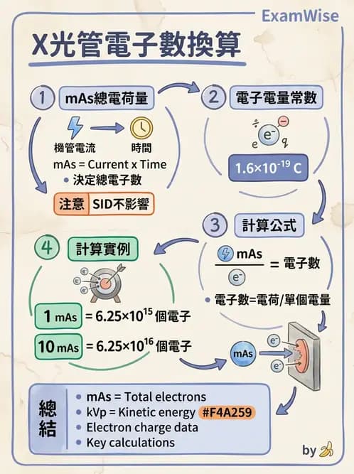 放射 - X光產生與特性 - AI 圖文解析預覽