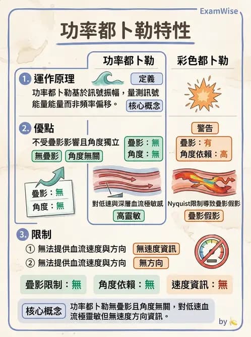 放射 - 超音波成像與都卜勒 - AI 圖文解析預覽
