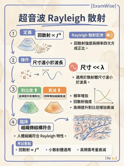 放射 - 超音波物理與換能器 - AI 圖文解析預覽