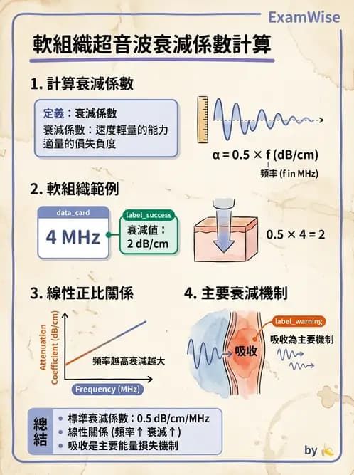 放射 - 超音波物理與換能器 - AI 圖文解析預覽