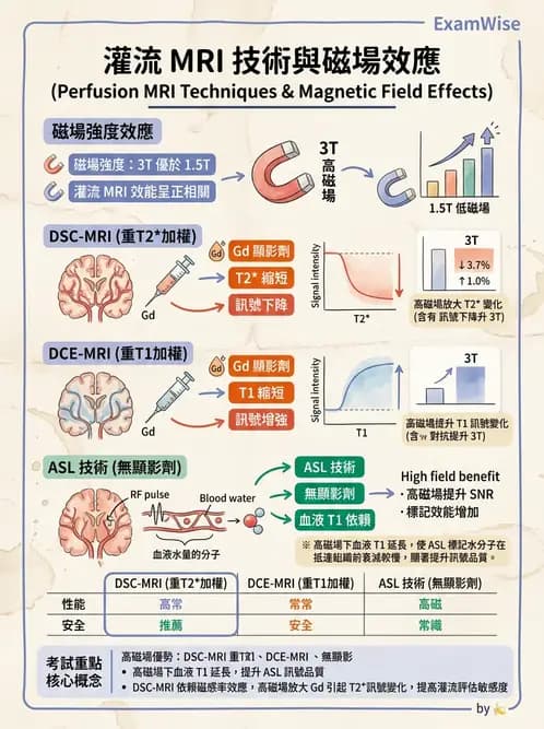 放射 - 脈衝序列與影像對比 - AI 圖文解析預覽