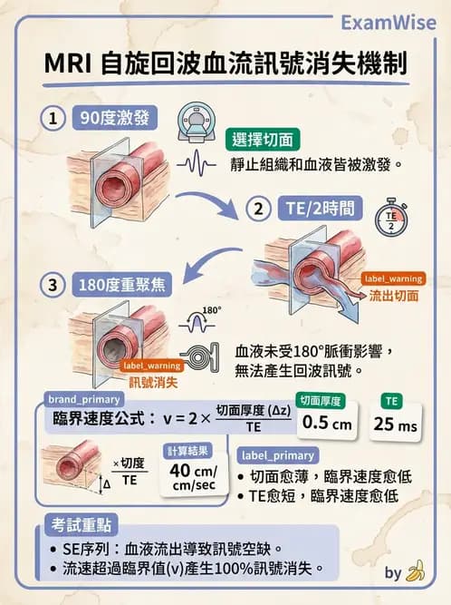 放射 - 脈衝序列與影像對比 - AI 圖文解析預覽