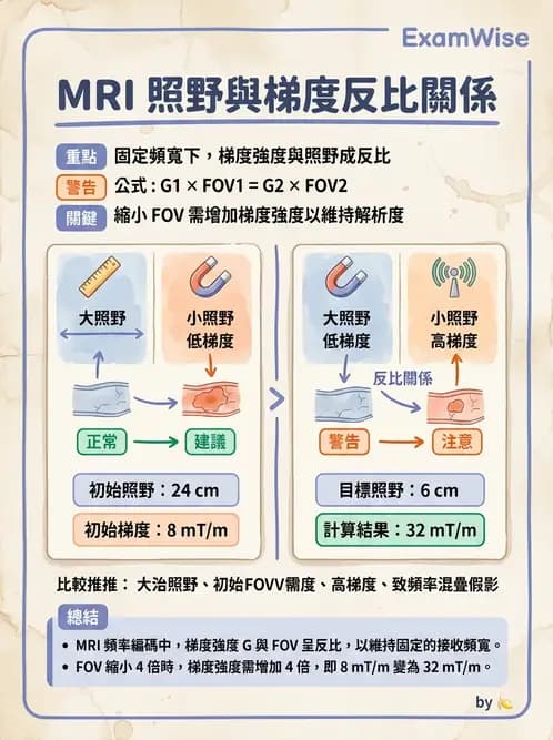 放射 - 空間編碼與影像品質 - AI 圖文解析預覽