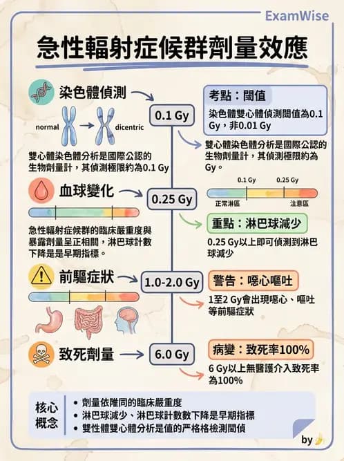 放射 - 全身性輻射效應 - AI 圖文解析預覽