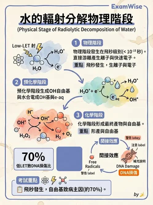 放射 - 輻射物理生物基礎 - AI 圖文解析預覽