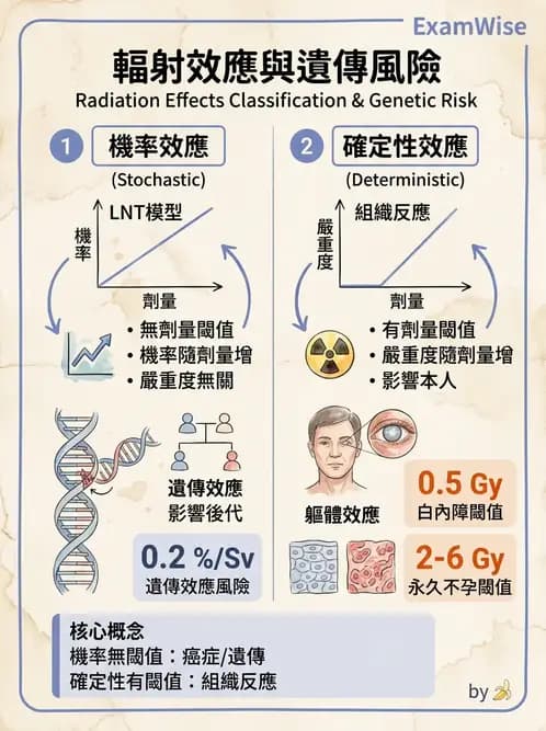 放射 - 全身性輻射效應 - AI 圖文解析預覽