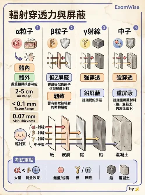 放射 - 輻射物理生物基礎 - AI 圖文解析預覽