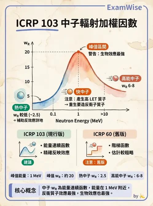 放射 - 輻射防護劑量量 - AI 圖文解析預覽