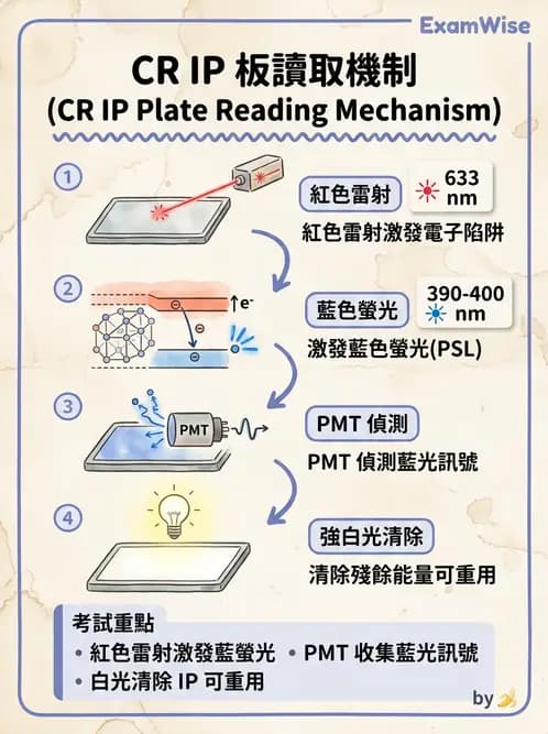 放射 - 電腦放射攝影(CR)原理與應用 - AI 圖文解析預覽