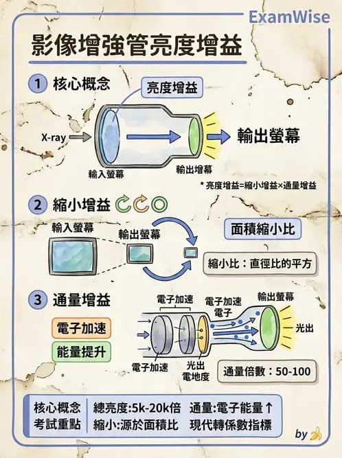 放射 - 血管攝影與透視攝影裝置 - AI 圖文解析預覽