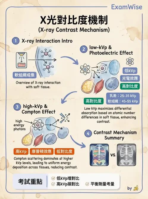 放射 - X光成像系統與影像品質 - AI 圖文解析預覽