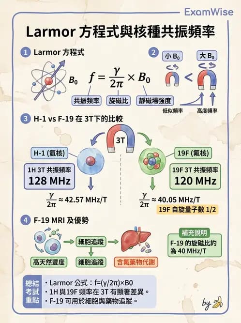 放射 - 射頻系統與線圈 - AI 圖文解析預覽