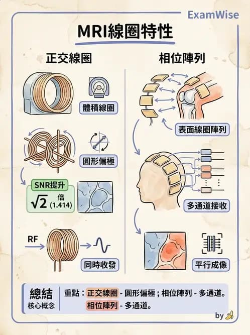 放射 - 射頻系統與線圈 - AI 圖文解析預覽
