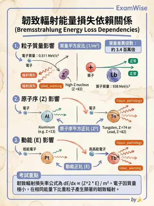 放射 - 遠隔治療機—機器結構與射束物理 - AI 圖文解析預覽