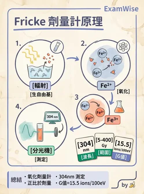 放射 - 固態與其他劑量計 - AI 圖文解析預覽