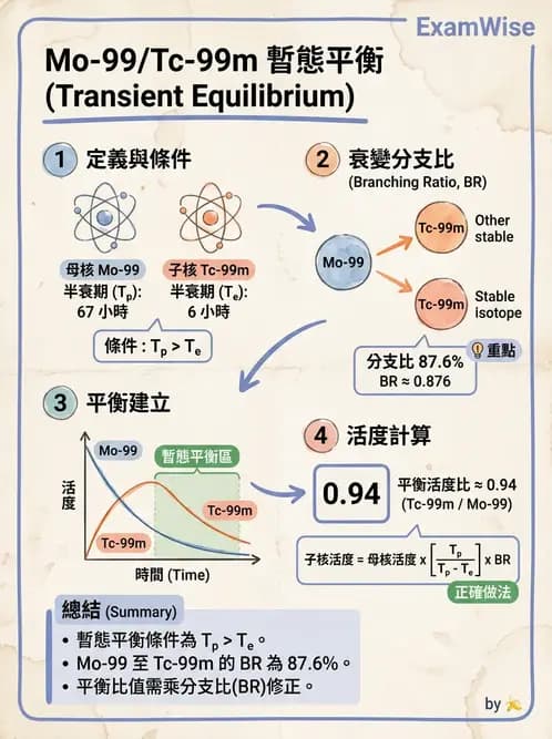 平面影像 - 影像儀器設備 - AI 圖文解析預覽