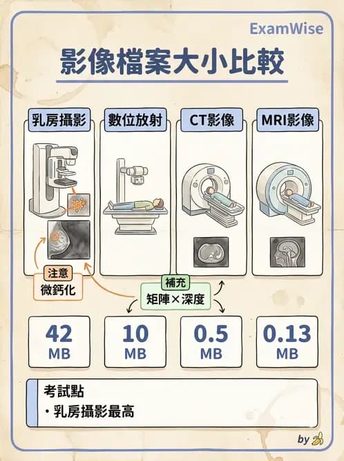 放射 - 數位影像原理與處理技術 - AI 圖文解析預覽