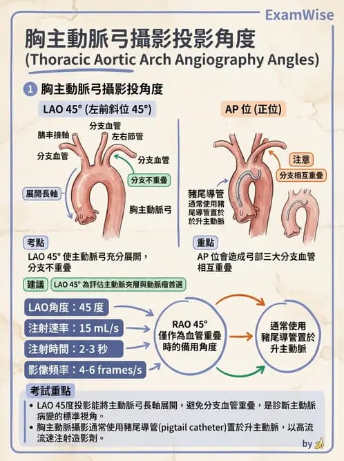 放射 - 血管攝影原理與解剖 - AI 圖文解析預覽