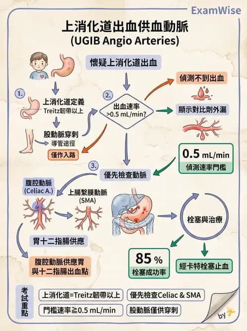 放射 - 導管技術與介入性治療 - AI 圖文解析預覽