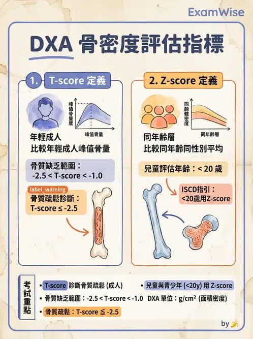放射 - 乳房攝影與其他特殊檢查 - AI 圖文解析預覽