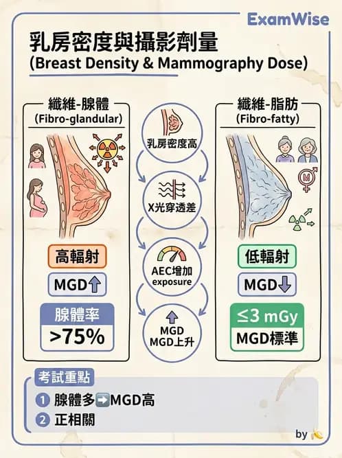 放射 - 乳房攝影與其他特殊檢查 - AI 圖文解析預覽
