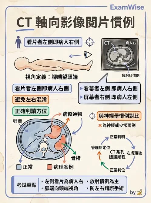放射 - CT物理原理與掃描技術 - AI 圖文解析預覽