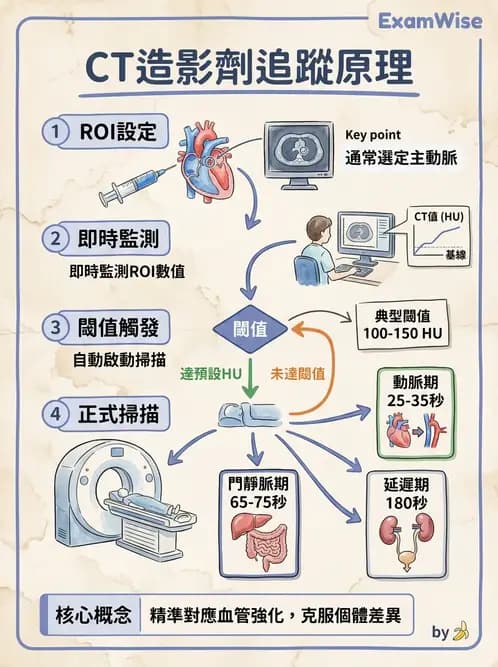 放射 - CTA與CT影像技術應用 - AI 圖文解析預覽