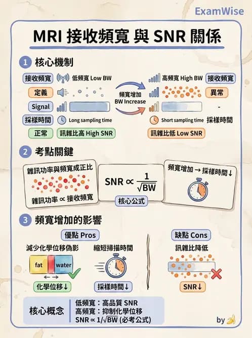 放射 - 磁振影像品質與參數 - AI 圖文解析預覽