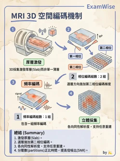 放射 - MRI脈衝序列與訊號技術 - AI 圖文解析預覽