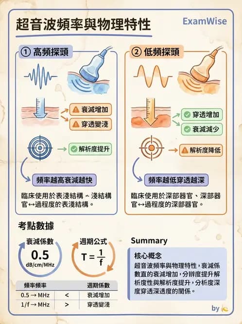 放射 - 超音波物理與技術 - AI 圖文解析預覽