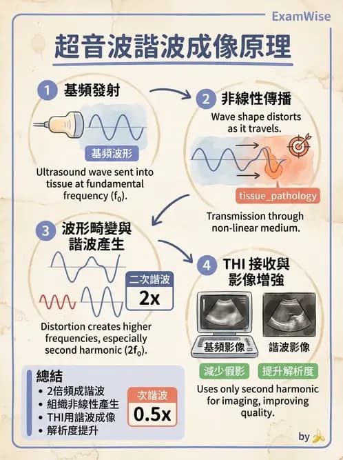 放射 - 超音波物理與技術 - AI 圖文解析預覽