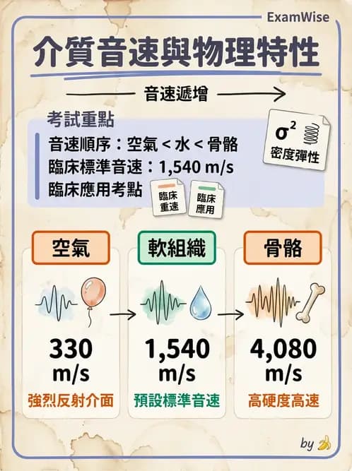 放射 - 超音波物理與技術 - AI 圖文解析預覽