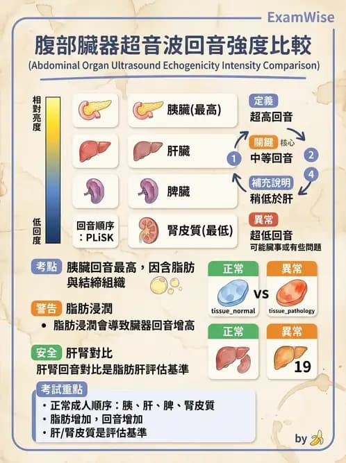 放射 - 超音波物理與技術 - AI 圖文解析預覽