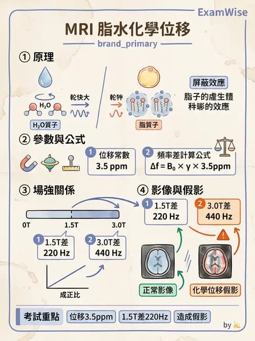 放射 - 磁振造影原理 - AI 圖文解析預覽