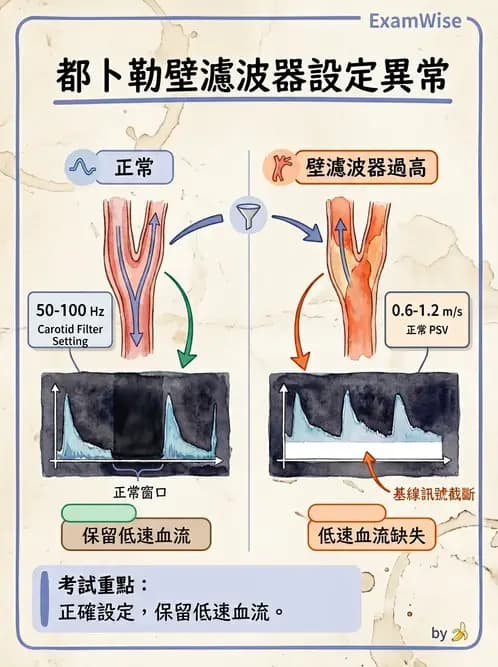 放射 - 腎臟血管與其他超音波 - AI 圖文解析預覽